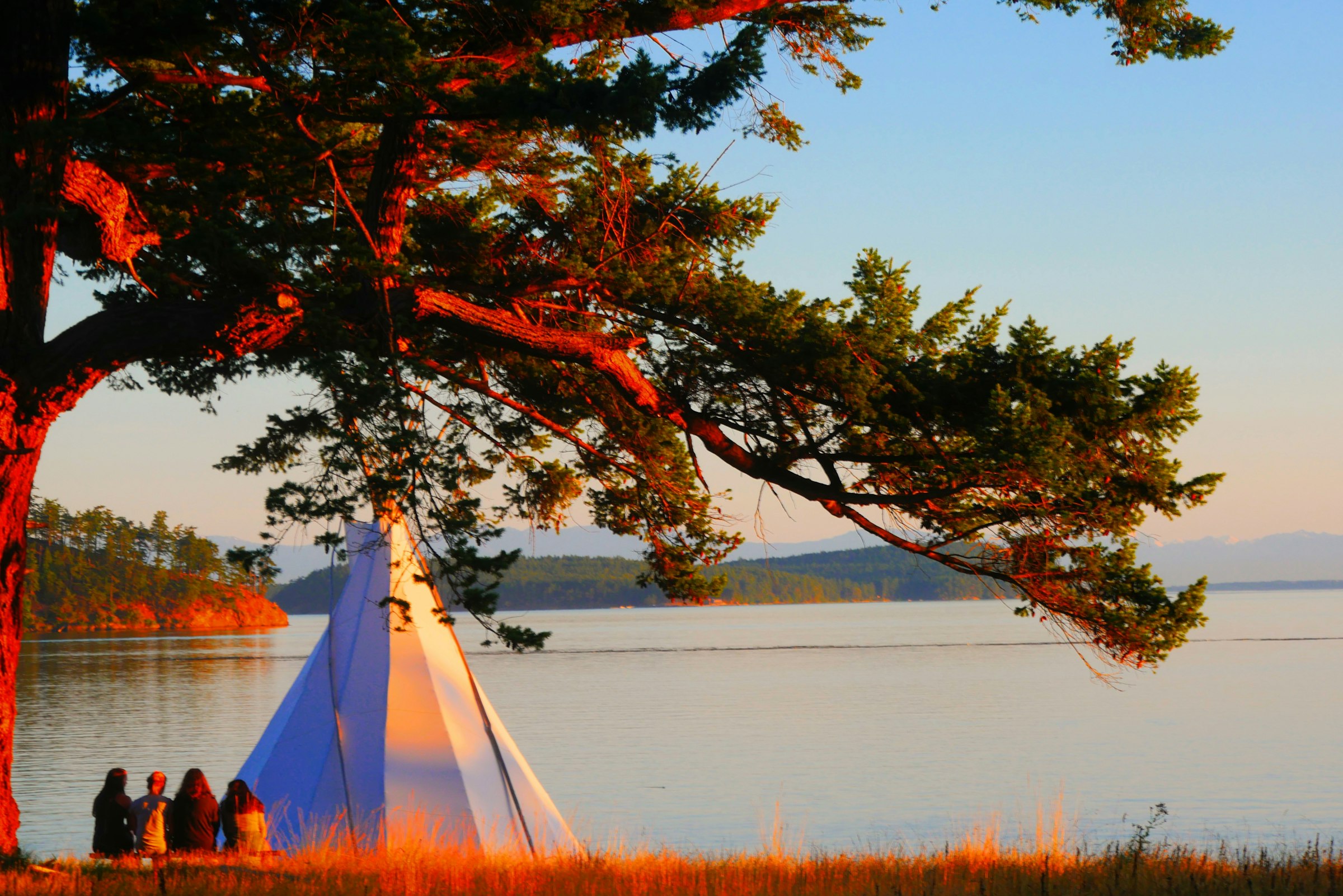A tipi on the shore at sunset beneath a tall tree, four people sitting together beside it looking out over the water